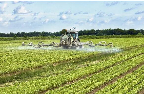 <a href=http://m.wd888.cn/mcy/ target=_blank class=infotextkey>木醋液</a>