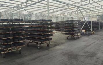 保定防水型<a href=http://m.wd888.cn/fwzhxt/ target=_blank class=infotextkey>蜂窩活性炭</a>廠家報(bào)價(jià)